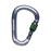 Black Diamond Pearlock Screwgate carabiner