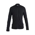 icebreaker-merino-260-quantum-iv-ls-zip-fleece