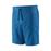 Patagonia Hampi Rock Shorts heren