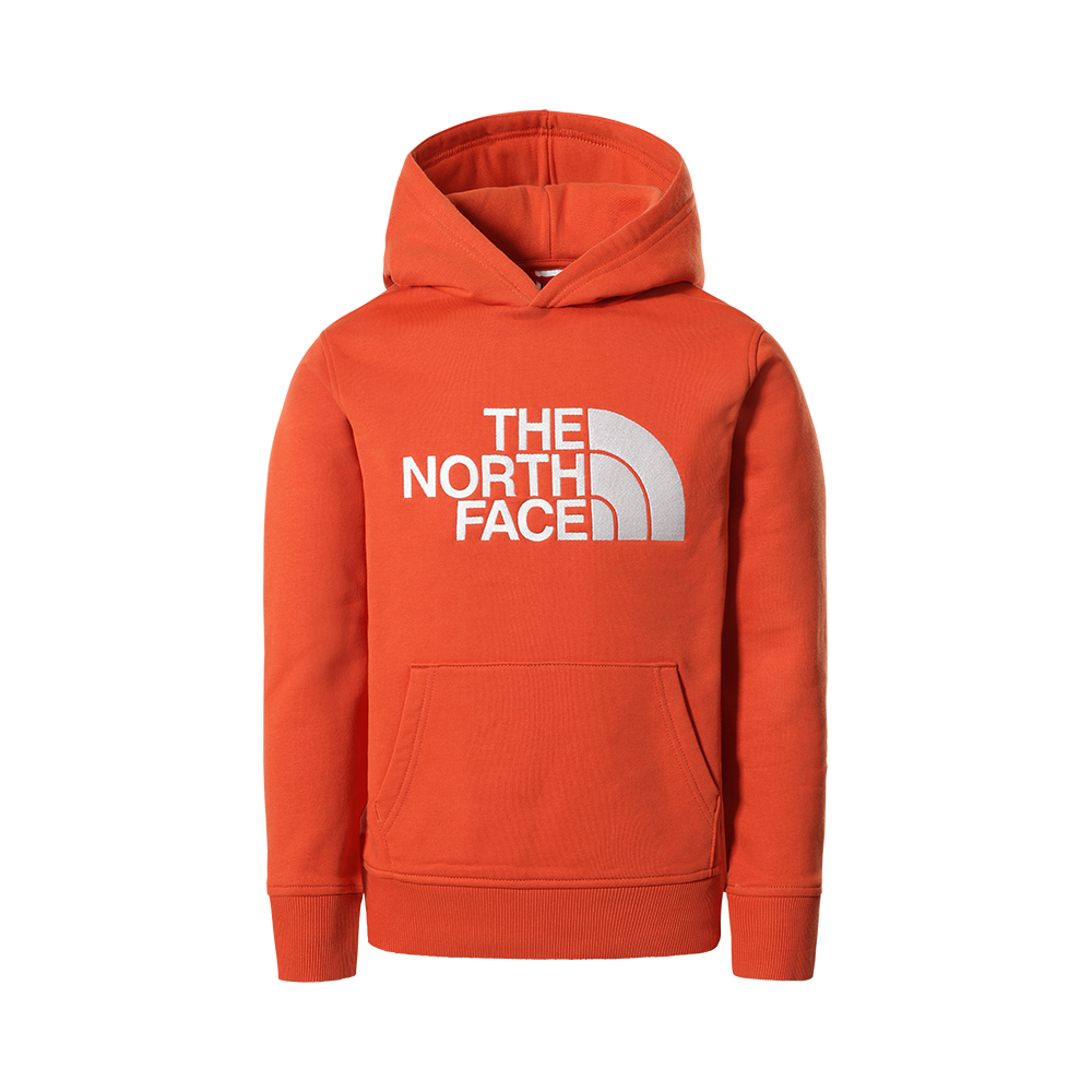 Moeras Nucleair gordijn The North Face Drew Peak Hooded Sweater kinderen