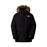 The North Face McMurdo GTX donzen parka heren