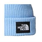 the-north-face-salty-lined-beanie